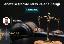 anatolia menkul forex dolandiriciligi | Savun Hukuk Danışmanlık