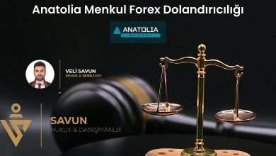 anatolia menkul forex dolandiriciligi | Savun Hukuk Danışmanlık