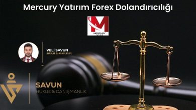 mercury yatirim forex dolandiriciligi | Savun Hukuk Danışmanlık