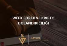 WEEX Forex ve Kripto Dolandırıcılığı