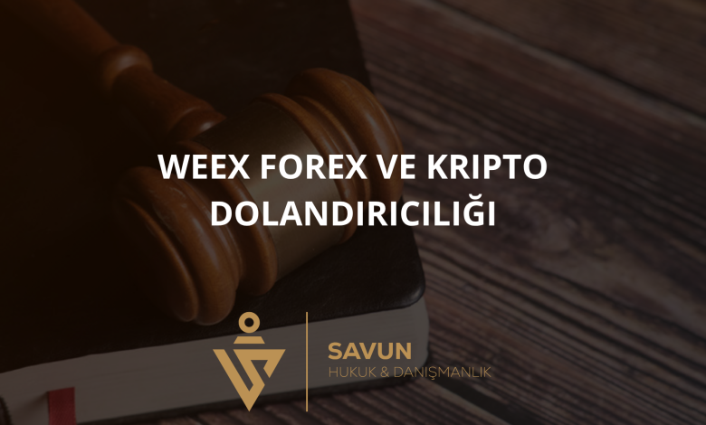 WEEX Forex ve Kripto Dolandırıcılığı