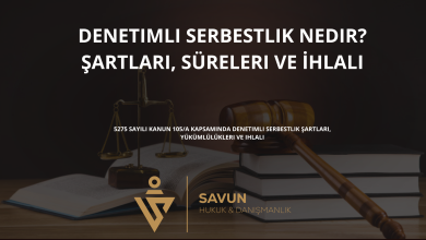 denetimli serbestlik | Savun Hukuk Danışmanlık