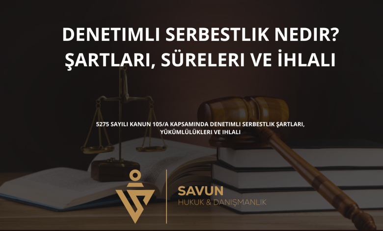 denetimli serbestlik | Savun Hukuk Danışmanlık