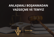 Anlaşmalı Boşanmadan Vazgeçme ve Temyiz