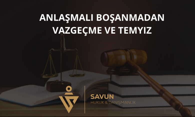 Anlaşmalı Boşanmadan Vazgeçme ve Temyiz