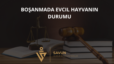 Boşanmada Evcil Hayvanın Durumu: Kedinin ve Köpeğin "Velayeti" Kime Kalır? 2 Boşanmada Evcil Hayvanın Durumu