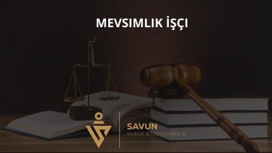Mevsimlik İşçi