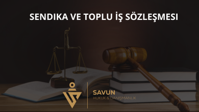 Sendika ve Toplu İş Sözleşmesi