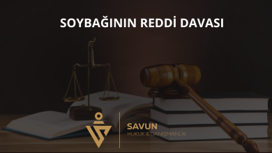 Soybağının Reddi Davası: Babalık Karinesinin Çürütülmesi 3 Soybağının Reddi Davası: Babalık Karinesinin Çürütülmesi