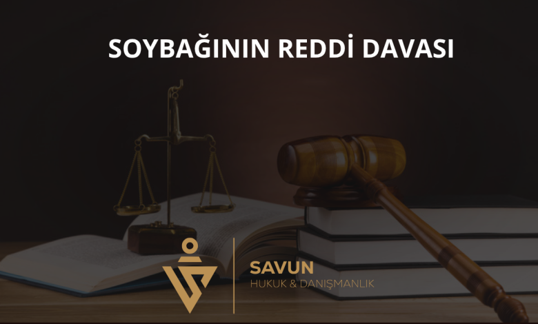 Soybağının Reddi Davası: Babalık Karinesinin Çürütülmesi