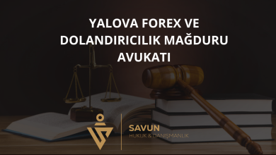 Yalova Forex ve Dolandırıcılık Mağduru Avukatı