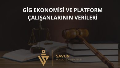 Gig Ekonomisi ve Platform Çalışanlarının Verileri 2 Gig Ekonomisi ve Platform Çalışanlarının Verileri