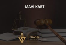 Mavi Kart Nedir