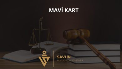 Mavi Kart Nedir