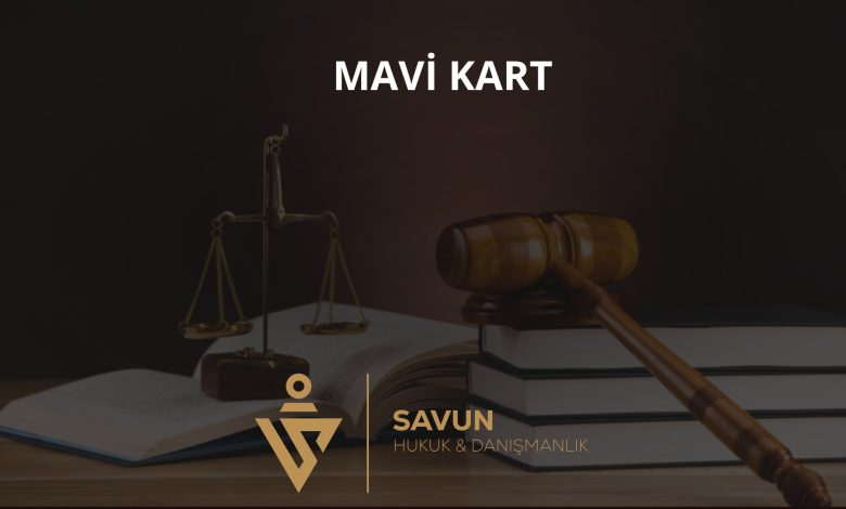 Mavi Kart Nedir? 1 Mavi Kart Nedir