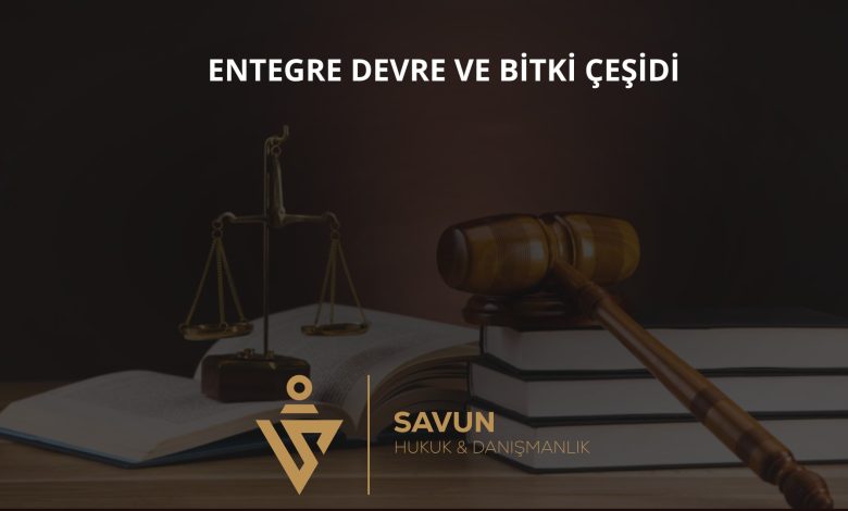 Entegre devre topoğrafyası ve yeni bitki çeşitleri