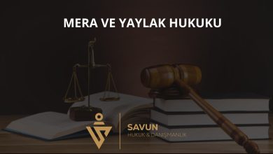 Mera ve yaylak hukuku