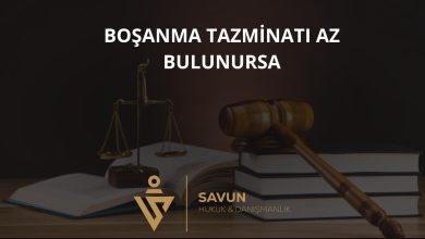 Boşanma Tazminatı Az Bulunursa – Yargıtay 2. HD 2024/6503 4 Boşanma Tazminatı Az Bulunursa – Yargıtay 2. HD 2024/6503