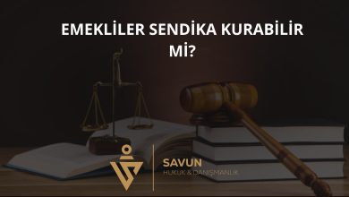 Emekliler Sendika Kurabilir mi? – AYM 2022/29411