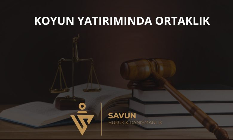 Koyun Yatırımında Adi Ortaklık – Yargıtay 3. HD 2026/3287 1 Koyun Yatırımında Adi Ortaklık – Yargıtay 3. HD 2026/3287