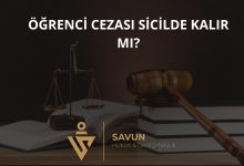 Öğrenci Cezası Sicilde Kalır mı? – Danıştay 8. D 2025/10571