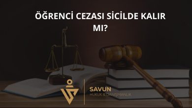 Öğrenci Cezası Sicilde Kalır mı? – Danıştay 8. D 2025/10571 5 Öğrenci Cezası Sicilde Kalır mı? – Danıştay 8. D 2025/10571