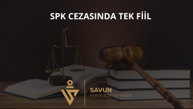SPK Cezasında Kesintisiz Fiil – Danıştay 13. D 2025/3414
