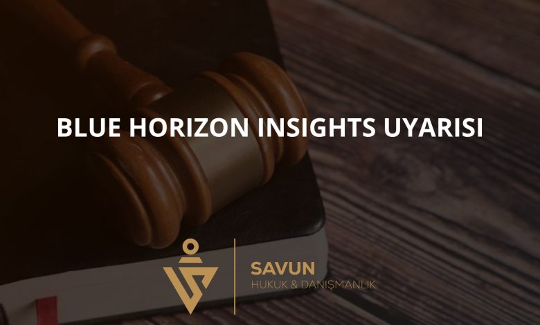 Blue Horizon Insights Hisse, CFD ve Kripto Dolandırıcılığı