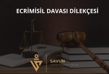 Ecrimisil davası dilekçesi örneği