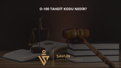 O-100 Tahdit Kodu Nedir? Uluslararası Koruma Başvurusunun Geri Çekilmesi 4 O-100 Tahdit Kodu Nedir