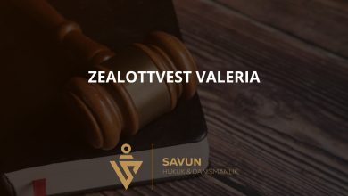 Zealottvest Valeria (zealottvest-valeria.icu) Günlük Yüzde Getiri Planı Dolandırıcılığı